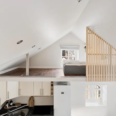 Loft Apartment, With A View From The Roof Terrace טרומסה